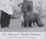 Thumbnail of Wynsyr's Kodak Moment