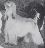 Thumbnail of Fantasi's Blue Streak