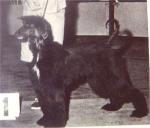 Thumbnail of Holly Hill Twilight Of Tajmir