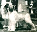 Thumbnail of Hullabaloo's Zar Khastik