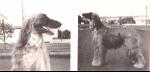 Thumbnail of Ismailrud Zabu