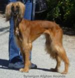 Thumbnail of Vuri-Durran van de Bremmen