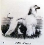 Thumbnail of Honiego's Peter Gun of Loki TT
