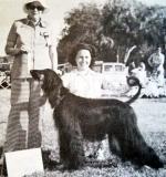 Thumbnail of Zorro's Bacchanalia