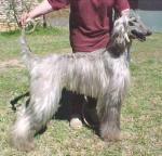 Thumbnail of Zulu Warrior Princess