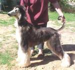 Thumbnail of Mahadi's Lacy