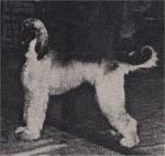 Thumbnail of Shelgrove Rajmuhal