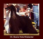 Thumbnail of Buena Vista Khabardar