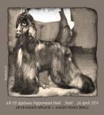 Thumbnail of Applause Peppermint Patti