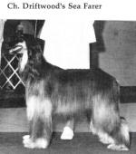 Thumbnail of Driftwood's Sea Farer