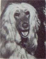 Thumbnail of Bilhana