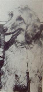 Thumbnail of Khan Koochek