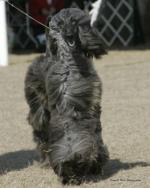 Thumbnail of Xzotika's Madame Monet