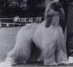 Thumbnail of Koschar-Wa-Chasis Esra