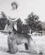 Thumbnail of Sonido's Blue Beard