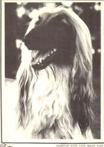 Thumbnail of High Life Zarak Kuhn