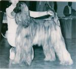 Thumbnail of Pamir Ho Constance (USA)