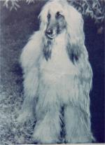 Thumbnail of Gehjie of Peshawer