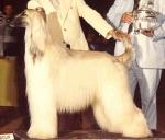 Thumbnail of El Sultan Tabare