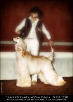 Thumbnail of Coastwind Pina Colada