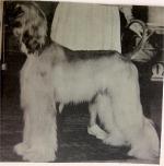 Thumbnail of Sultana's Hail To All