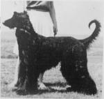 Thumbnail of Black Lancer Of Scheherezade