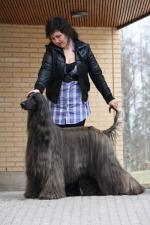 Thumbnail of Troxa Av Poppyfield