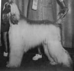 Thumbnail of Troytan Miss Nightcap