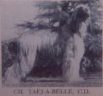 Thumbnail of Taej-A-Belle