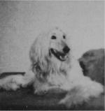 Thumbnail of Chitor Of Arken