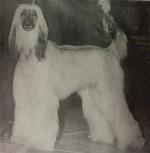 Thumbnail of Zhor Beaux