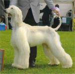 Thumbnail of Jovan Acceleration