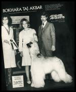 Thumbnail of Bokhara Taj Akbar