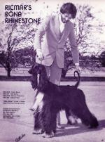 Thumbnail of Ricmar's Rona Rhinestone Of T M