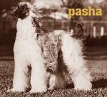 Thumbnail of Pasha Of Scheherezade II