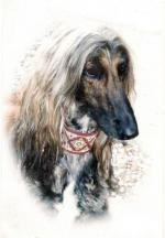 Thumbnail of Adshanta Fiona