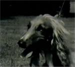 Thumbnail of Chartuk