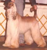 Thumbnail of Abashagh's Mishewah Khan