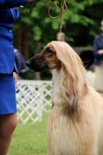 Thumbnail of Vechnost Gelios Solnechny Triumph