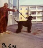 Thumbnail of Fantasi's Sportin Life