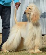 Thumbnail of Xzotika Say A Little Prayer