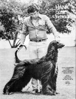 Thumbnail of Jalal's Handsome Harry