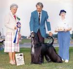 Thumbnail of Coastwind Mijkelh Elektron