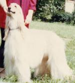 Thumbnail of Risa Chan's Ursus