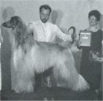 Thumbnail of Sharja The Spy