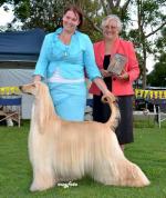 Thumbnail of Tahkira Razzleme Dazzleme