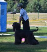 Thumbnail of Omalia Azir Bahira