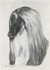 Thumbnail of Majara Mutalla Of Kayobi