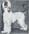 Thumbnail of Sahadi Comanche Brave Eagle