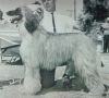 Thumbnail of El Mari Breeze-Bhye